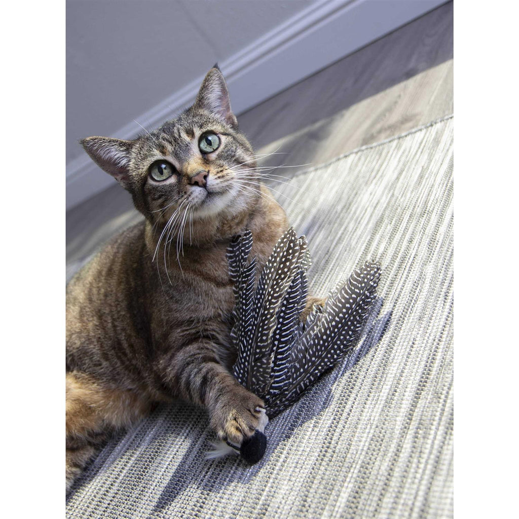 Catnip Cat Toy I567
