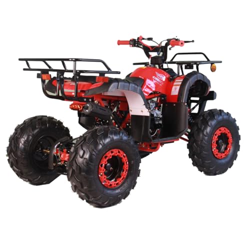 125cc Youth ATV Quad with Remote Control Burgundy T5504