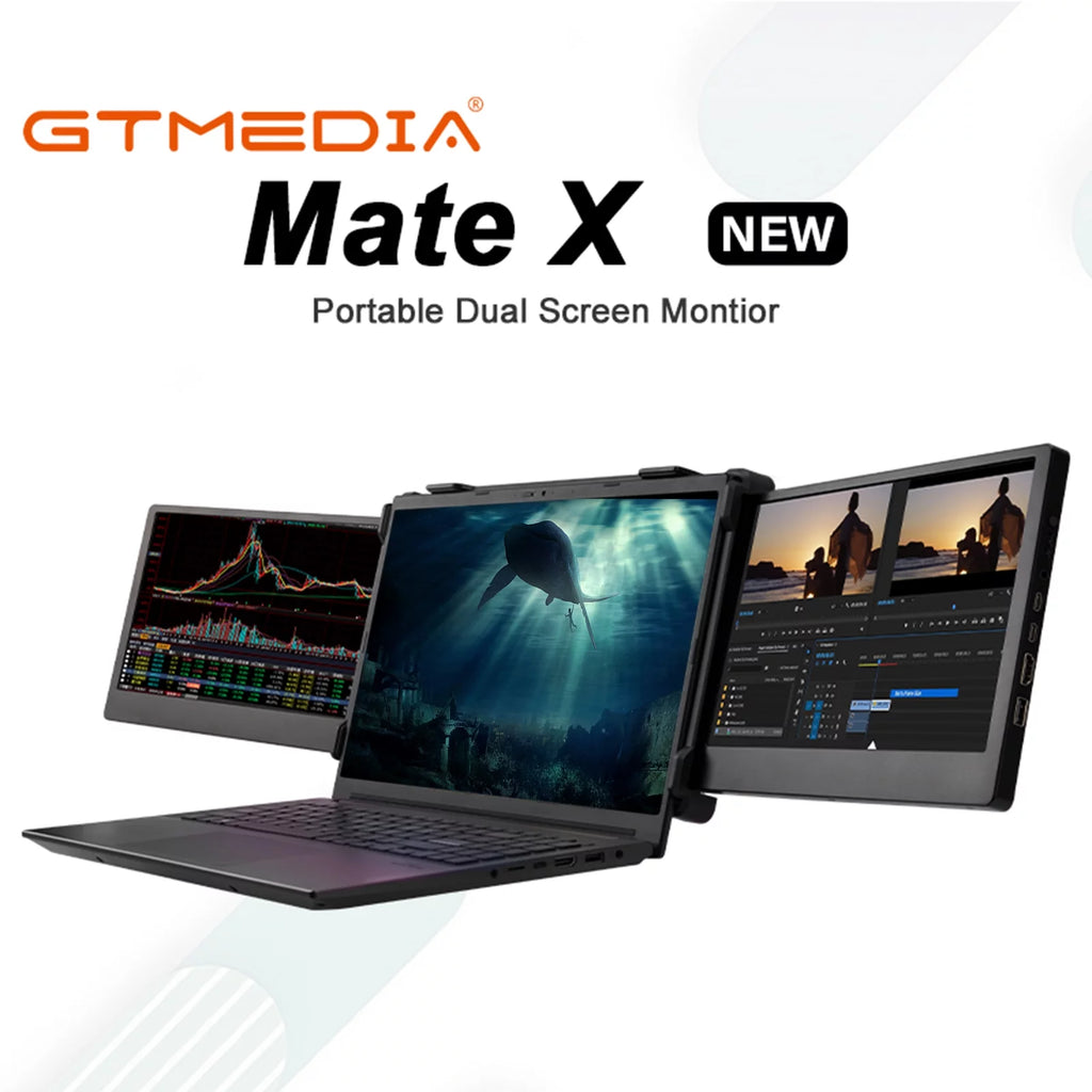 11.6-inch Portable Dual Screen IPS 1080P Monitor P255
